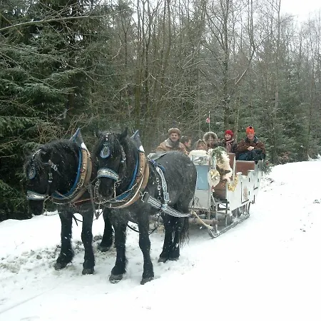 Bayern Ferienland Sonnenwald Apartment Schofweg